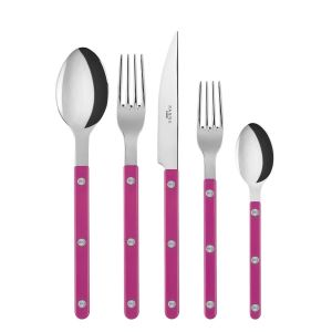 Bistrot Raspberry 5 pc place setting by Sabre
