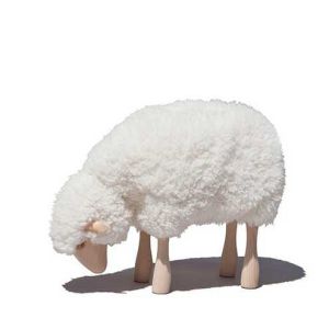 Sheep Curly White Fur Grazing Beech Wood by Meier Germany