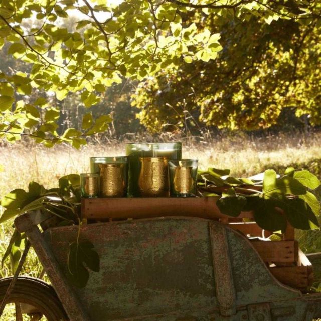 Trudon Figuerie Collection   