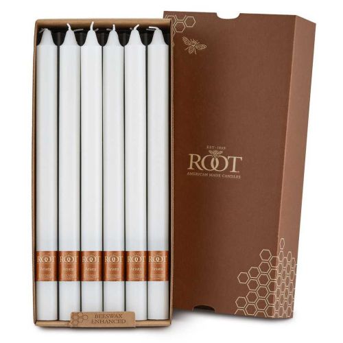 Root Arista White Box of 12 