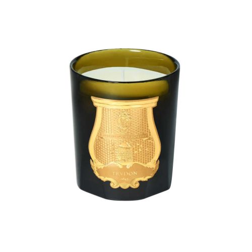 Trudon Classic Scented Candles Ernesto (Leather and Tobacco) ERN/08/TRU
