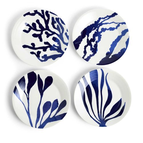 Royal Doulton Pacific Accent Plate Assorted Set Of 4 1074378