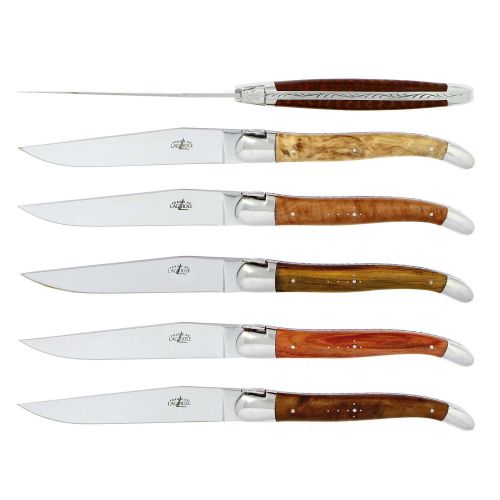 Forge Laguiole Steak Knives Assorted Precious Stainless Steel Shiny Finish Set/6 T6 2M IN AW BRI