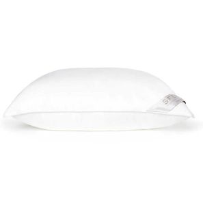 Arcadia Continental Pillow Medium by Sferra