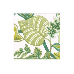 Cocktail Napkin Florida Ivory 20 per pack by Caspari