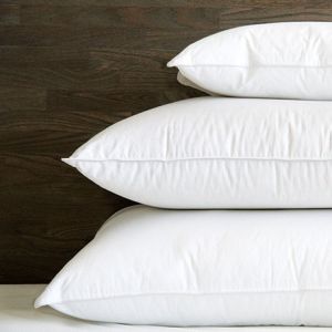 Mt. Sutton Continental Pillow by Cuddledown