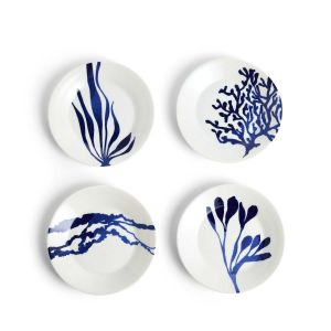 Pacific Tapas Plate Assorted Set Of 4 by Royal Doulton