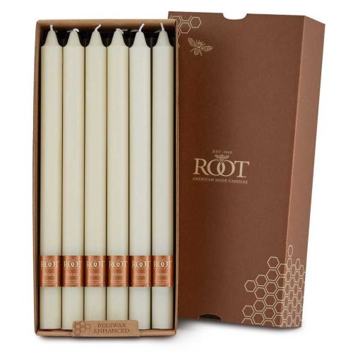 Root Arista Ivory Box of 12 