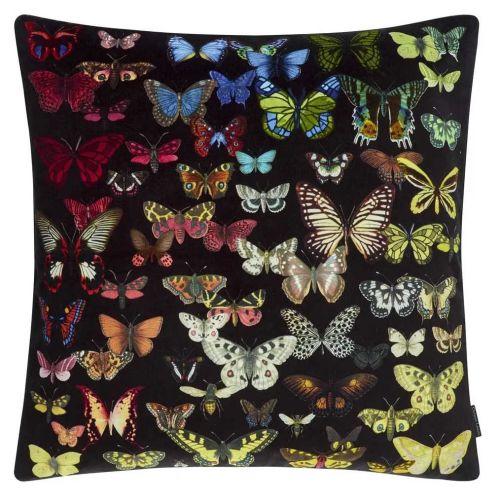 Designers Guild Decorative Pillow Cosmos Eden Multicolore 50x50cm CCCL0611