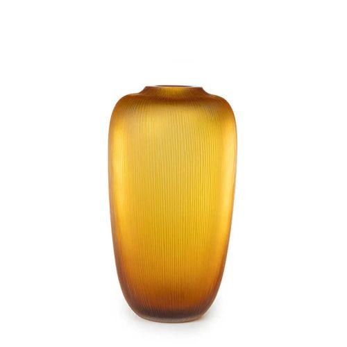 Guaxs Coimbra Gold Tall F003GD